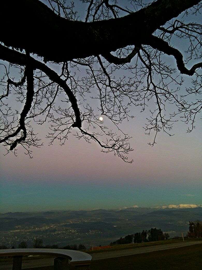 Mond Bern